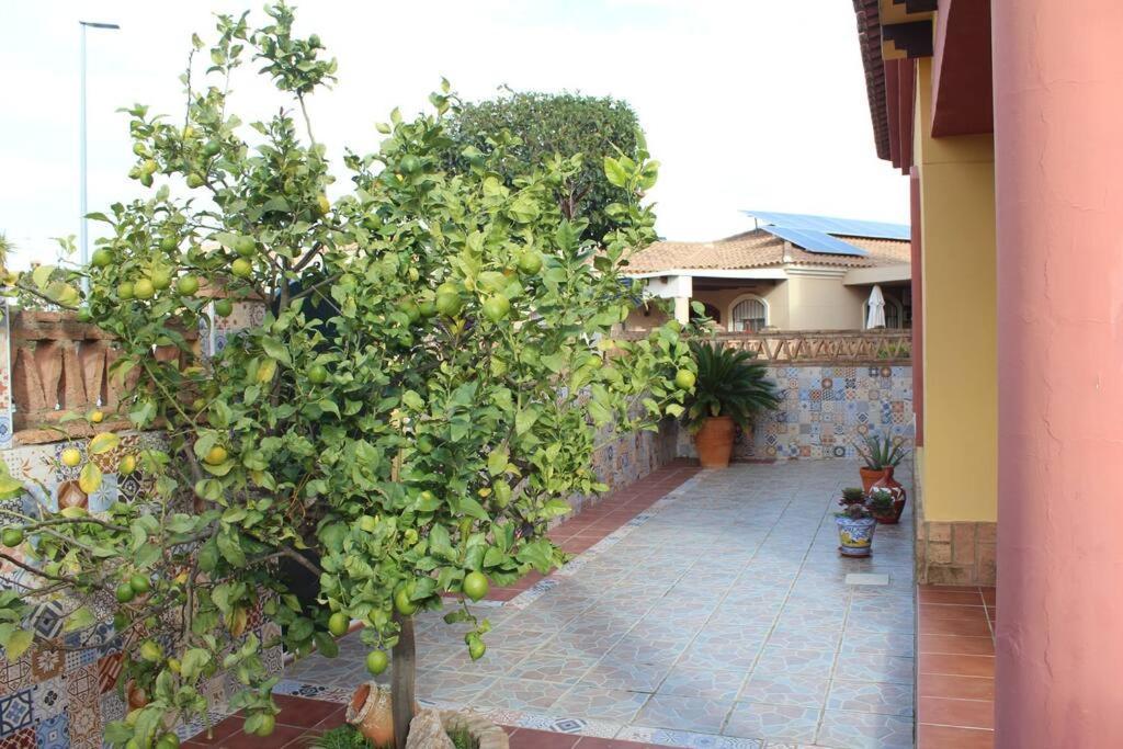 Casa 4 Dormitorios En Ayamonte Exterior foto